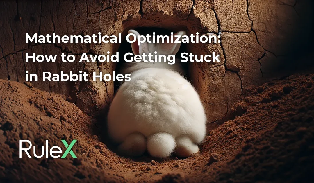 Mathematical Optimization: How to Avoid Getting Stuck in Rabbit Holes