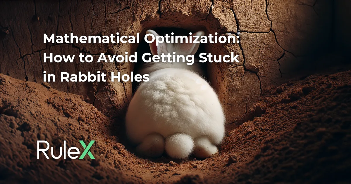Mathematical Optimization: How to Avoid Getting Stuck in Rabbit Holes