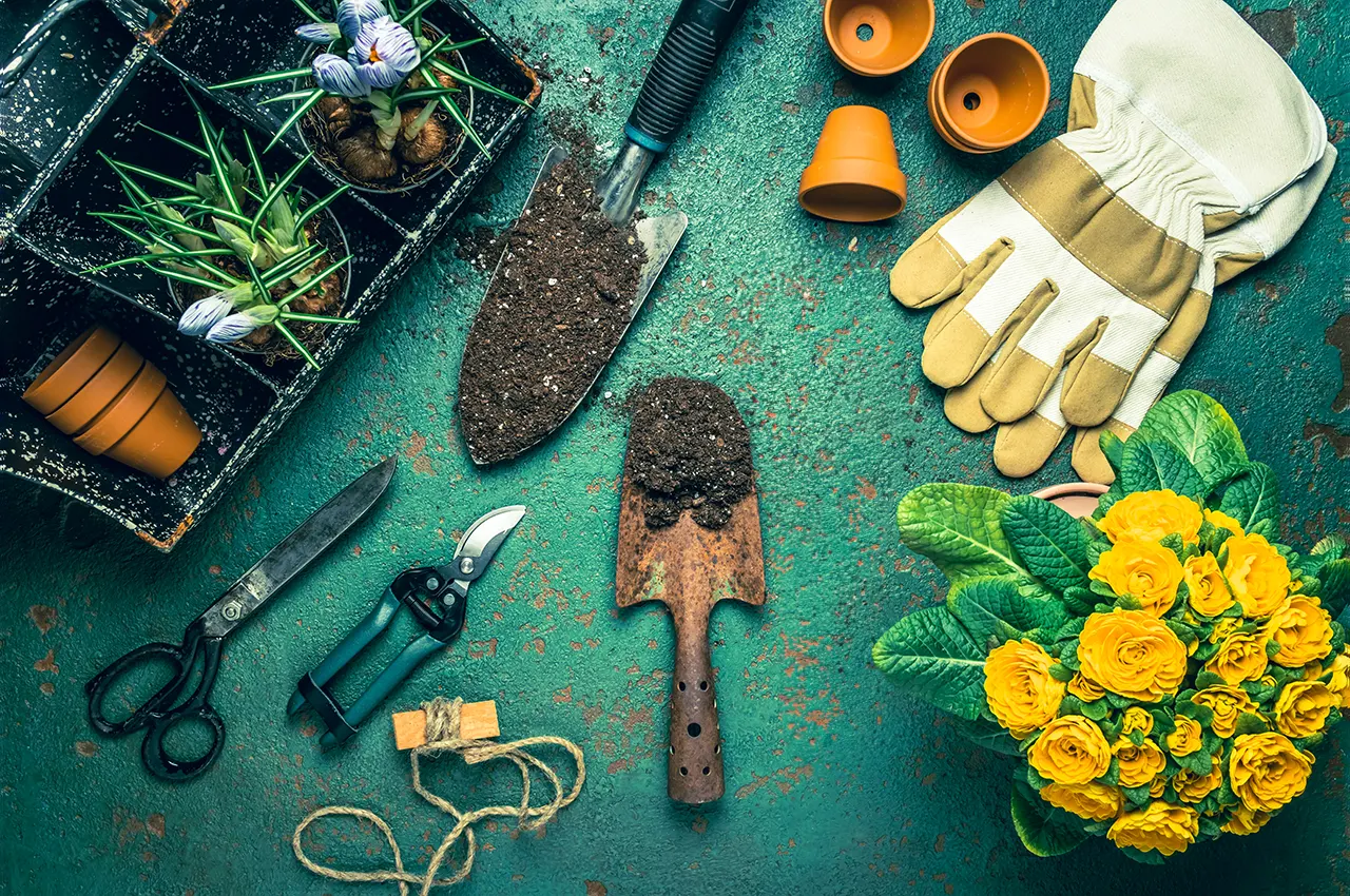 Weeding the Data Garden: How Rulex Platform Cultivates Quality