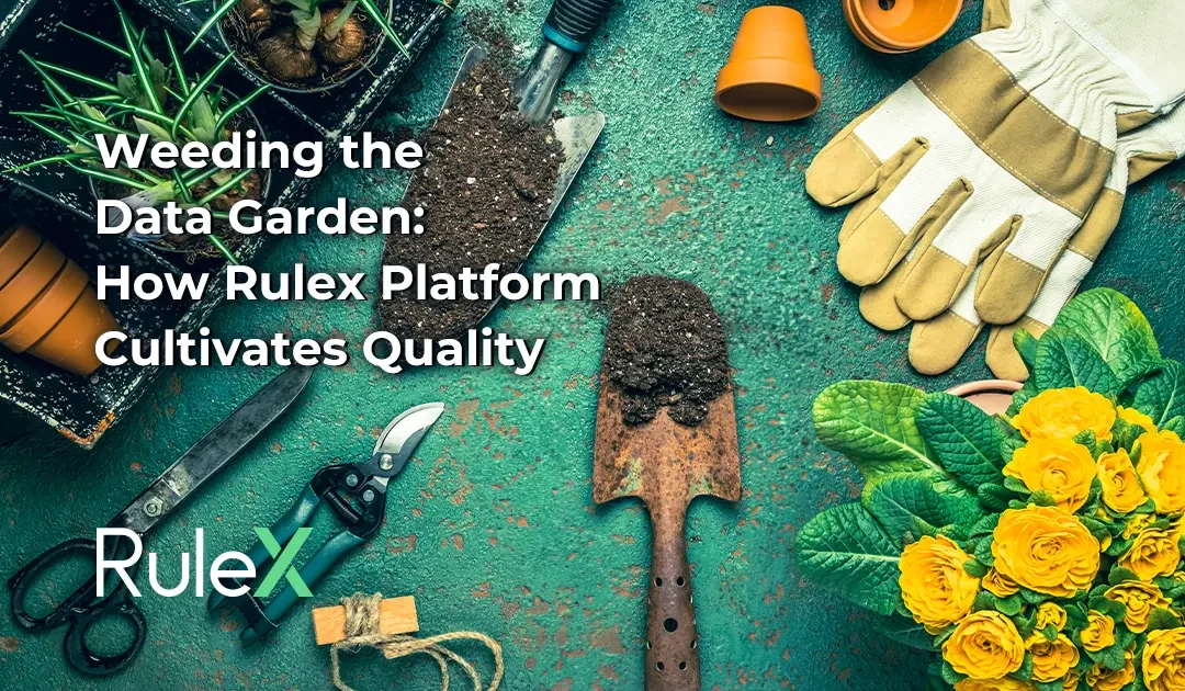Weeding the Data Garden: how Rulex Platform Cultivates Quality