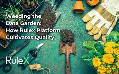 Weeding the Data Garden: how Rulex Platform Cultivates Quality