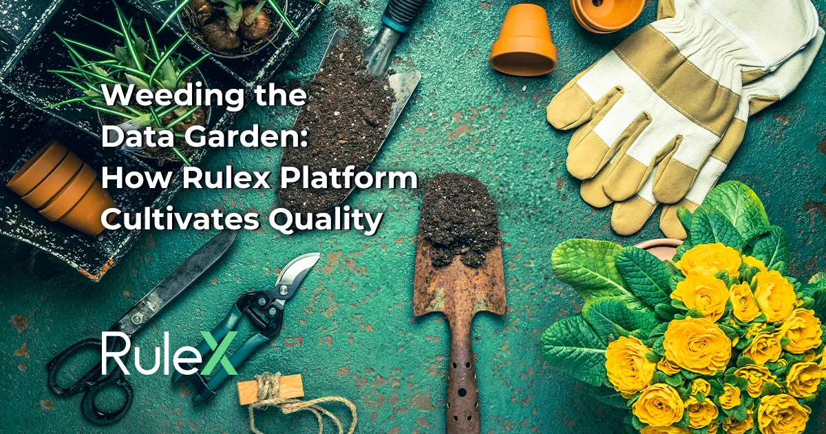 Weeding the Data Garden: How Rulex Platform Cultivates Quality